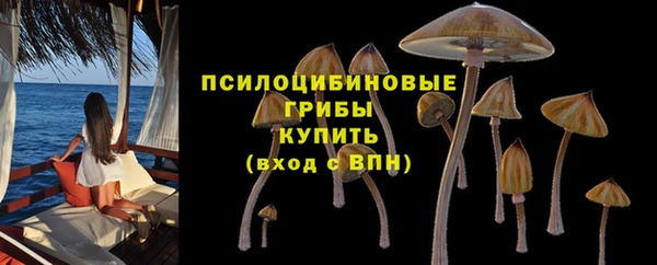 PSILOCYBIN Заволжье