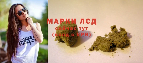 PSILOCYBIN Заволжье