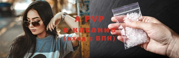 PSILOCYBIN Заволжье